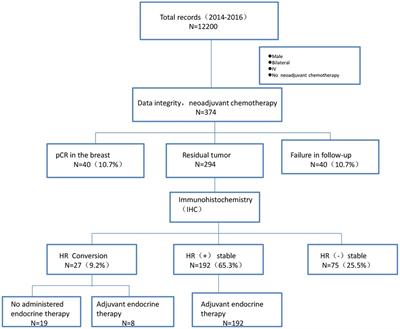 Clinical significance and prognostic value of receptor conversion after neoadjuvant chemotherapy in breast cancer patients